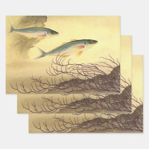 Mackerel Fish in the Ocean, Vintage Japonisme Art Wrapping Paper Sheet