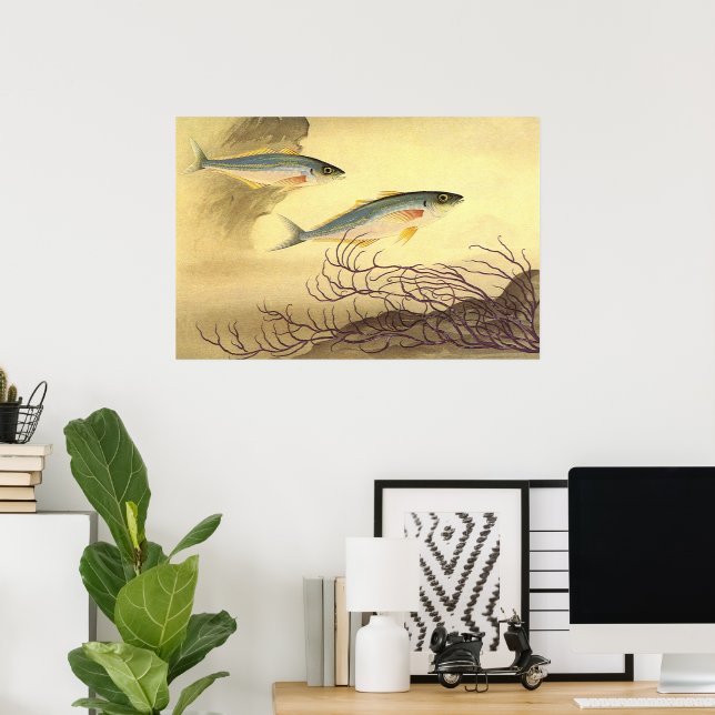 Mackerel Fish Swimming in the Ocean Poster (Home Office)