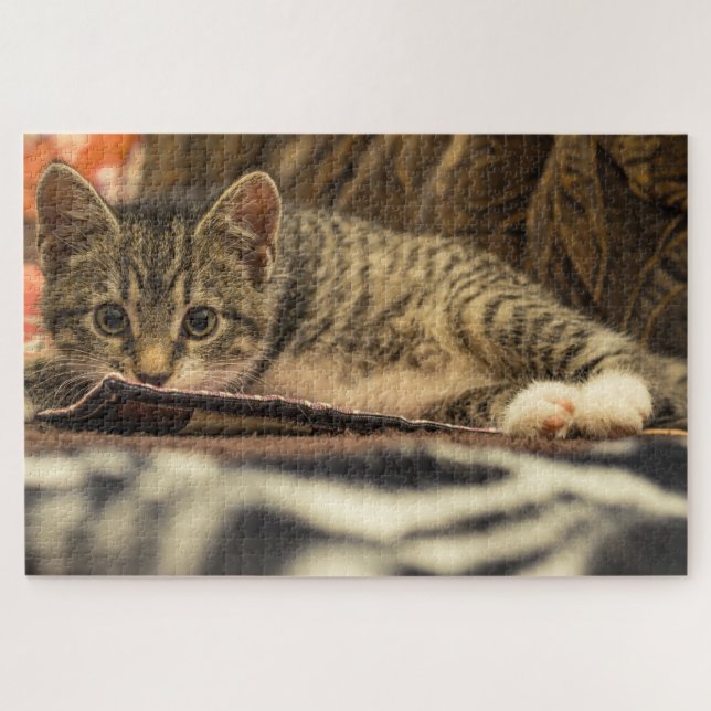 mackerel kitten puzzle  (Horizontal)
