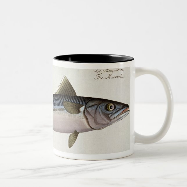 Mackerel (Scomber Scomber) plate LIV from 'Ichthyo Two-Tone Coffee Mug (Right)