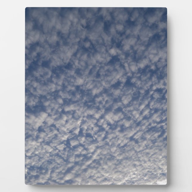 mackerel sky plaque (Front)
