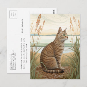 Mackerel Tabby Cat On The Beach Postcard