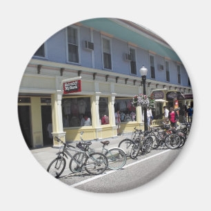 mackinac island magnet