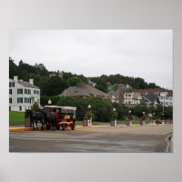 Mackinac Island Main Street Buggy