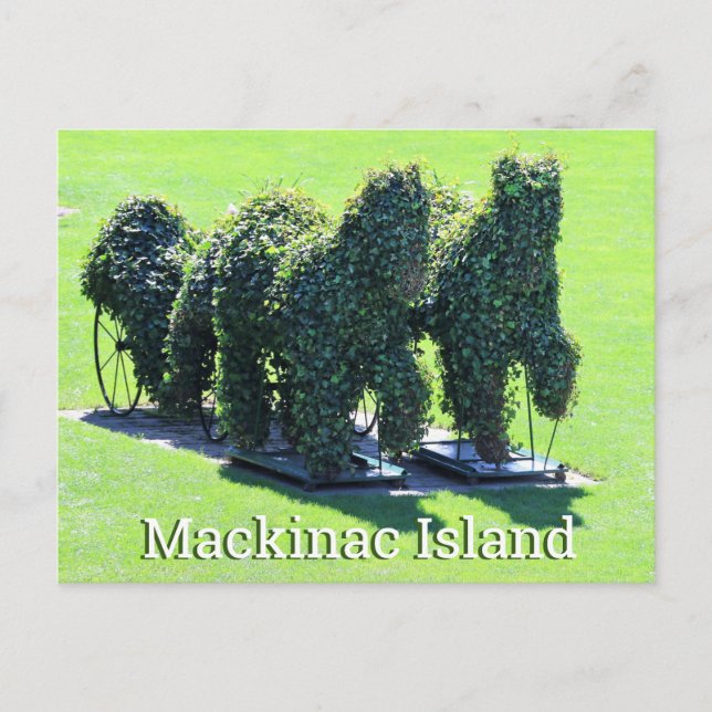 Mackinac Island Michigan Postcard (Front)