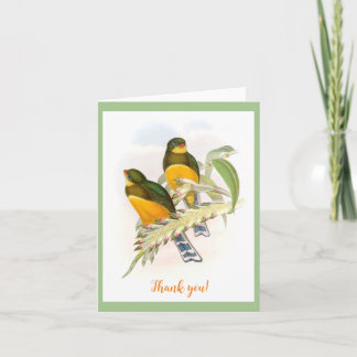 Macklot’s Trogon (1850-1883)  Card