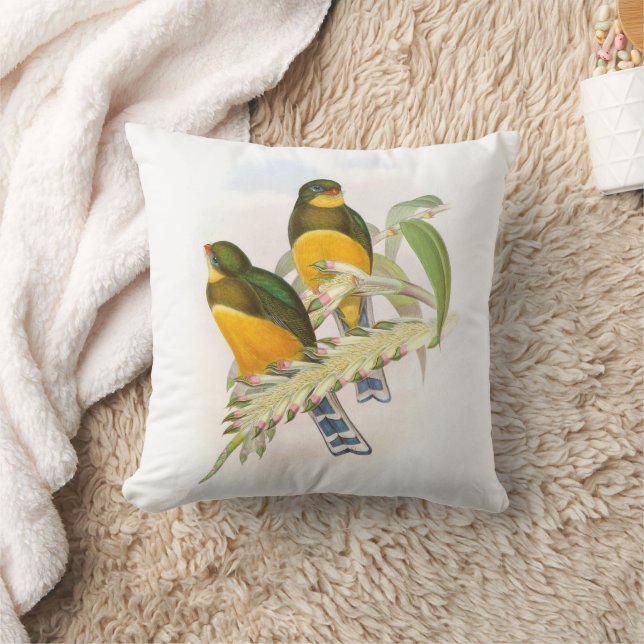 Macklot’s Trogon,   Cushion (Blanket)