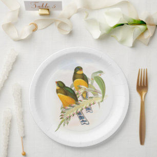 Macklot’s Trogon, Paper Plate