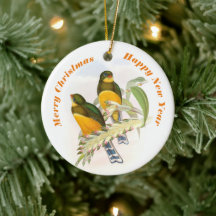 Macklot’s Trogon, Tree Ornament