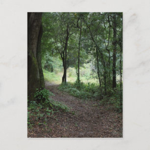 Maclay Gardens Postcard