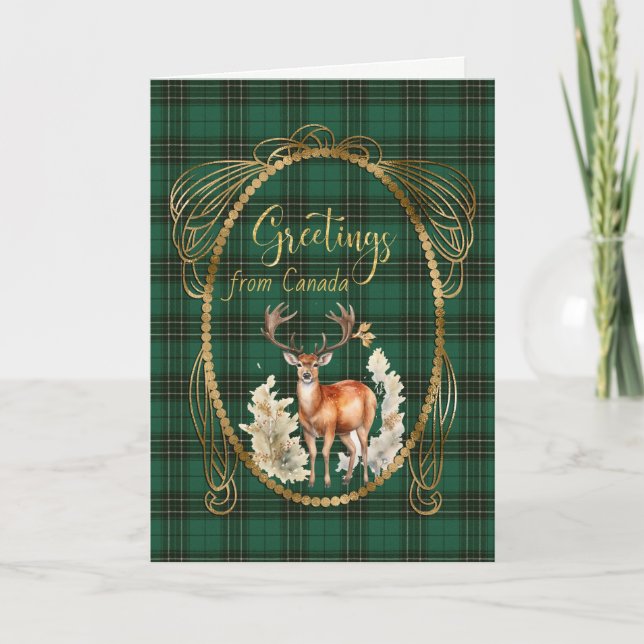 MacLean Hunting Scottish Tartan Greetings  Holiday Card (Front)