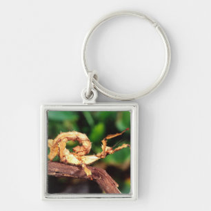Macleay's Spectre (Spiney Stick Insect), Key Ring