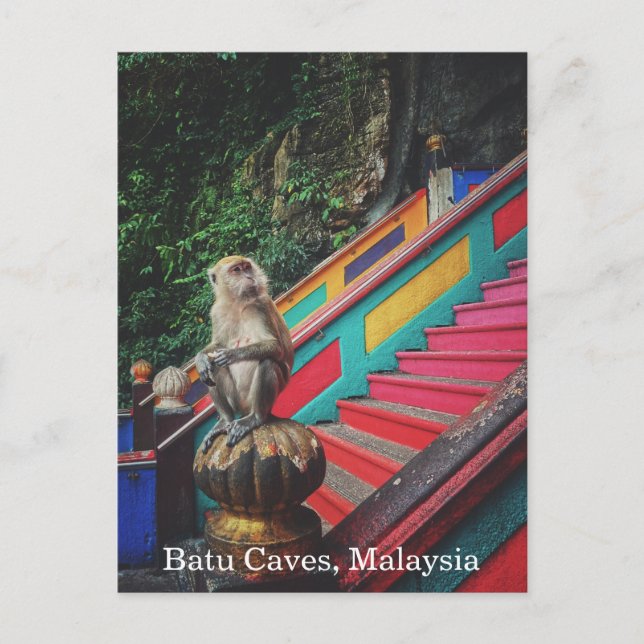Macque Monkey at Batu Caves, Malaysia Travel Postcard (Front)