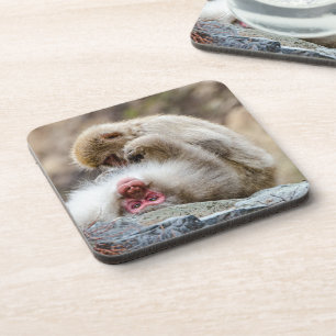 Macque Monkey, Enjoying the Good Life Coaster