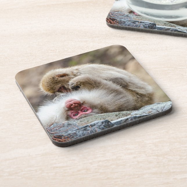 Macque Monkey, Enjoying the Good Life Coaster (Left Side)