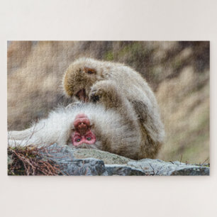 Macque Monkey, Japanese Monkey Photography Jigsaw Puzzle
