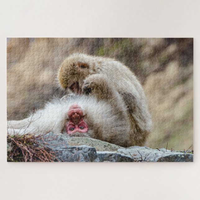 Macque Monkey, Japanese Monkey Photography Jigsaw Puzzle (Horizontal)
