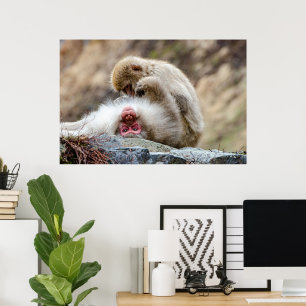 Macque Monkey, The Good Life Poster