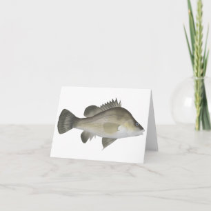 Macqurie Perch Note Card