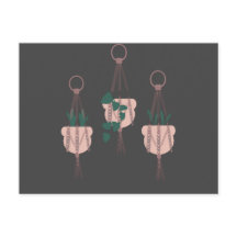 Macrame Plant Hanger Planter Pots Illustration
