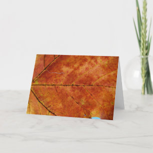 Macro Autumn Leaf Photo Card
