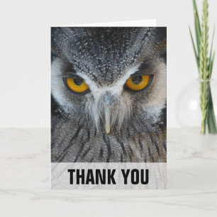 Macro Black and White Owl Thank You Card