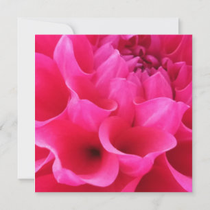Macro Close-up Delilah Flower Card