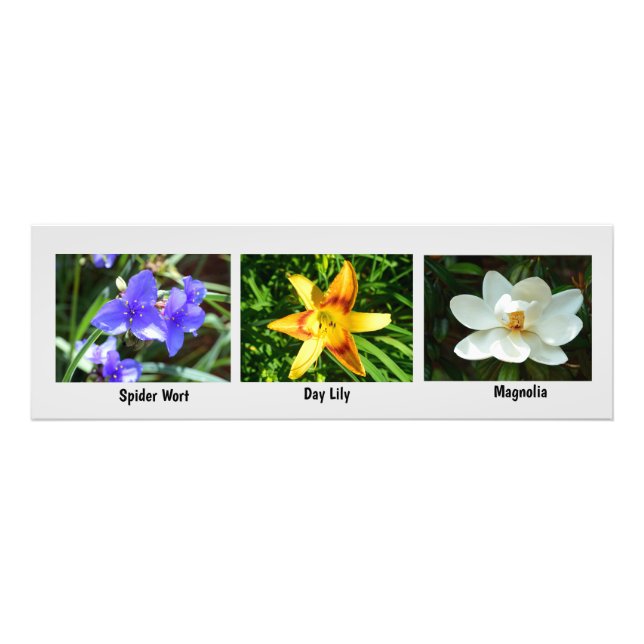 Macro flowers Photo Enlargement (Front)