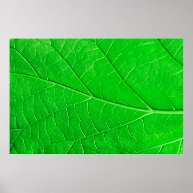 Macro green leaf ecology plant background poster (Front)