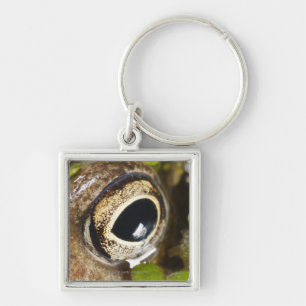 Macro; Horizontal; Colour; Colour; Nobody Key Ring