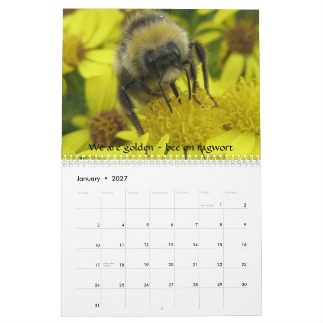 Macro Insects Calendar (Jan 2027)