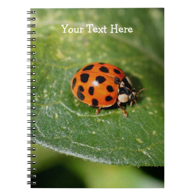 Macro Ladybug Nature Notebook (Front)