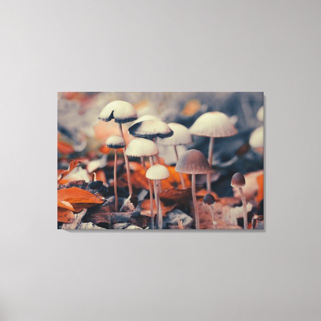 Macro Mushrooms Canvas Print (Front)