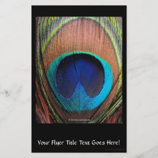 Macro Peacock Feather Rich Blues Photographic Flyer