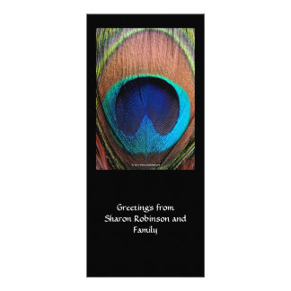 Macro Peacock Feather Rich Blues Photographic Rack Card