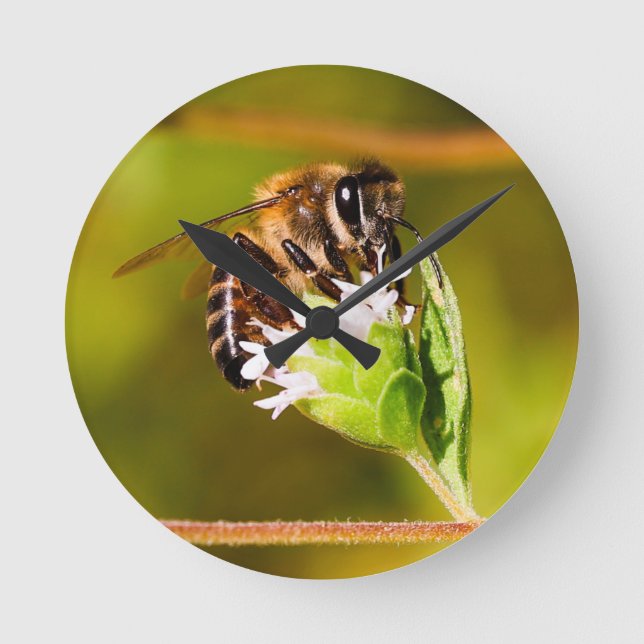 Macro photo of a honeybee  round clock (Front)