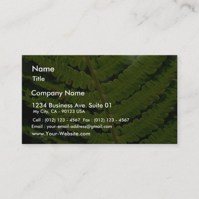 Macro Photo Of Fern 4 Business Card (Front)