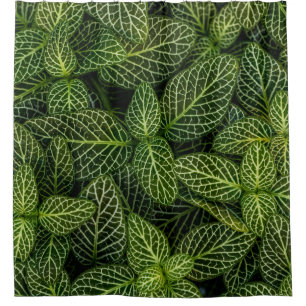 Macro photo of green-leafed plants shower curtain