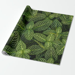 Macro photo of green-leafed plants wrapping paper