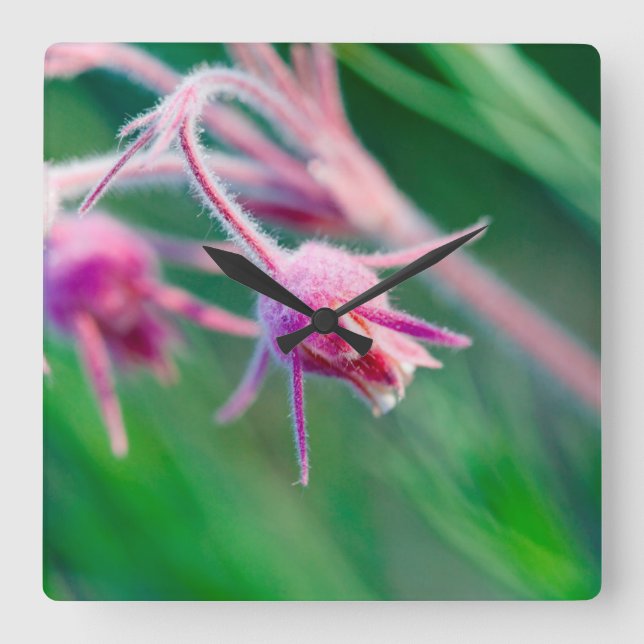 Macro photo of prairie flowers in Montana Square Wall Clock (Front)