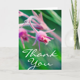 Macro photo of prairie flowers in Montana Thank You Card