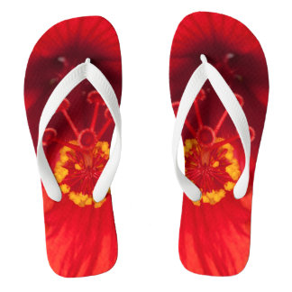 Macro photo of red hibiscus flower on flip flops