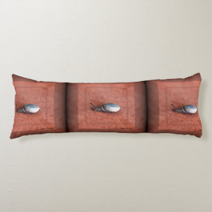 Macro Photograph of Snail on Terracotta Body Cushion