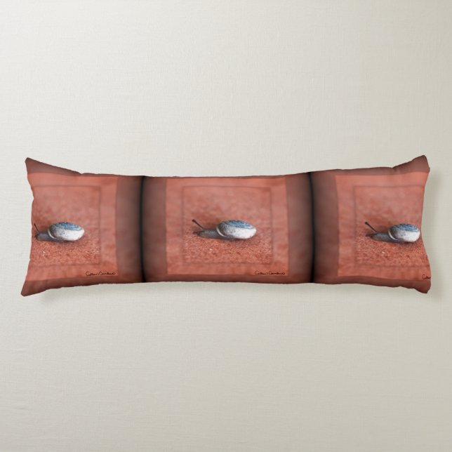 Macro Photograph of Snail on Terracotta Body Cushion (Front)