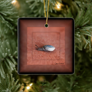 Macro Photograph of Snail on Terracotta Ceramic Ornament