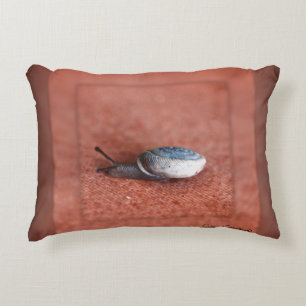Macro Photograph of Snail on Terracotta Decorative Cushion