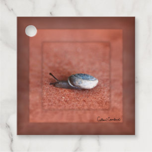 Macro Photograph of Snail on Terracotta Favour Tags