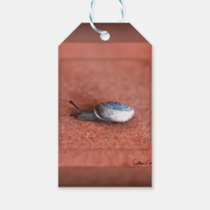 Macro Photograph of Snail on Terracotta Gift Tags