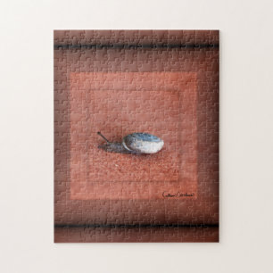 Macro Photograph of Snail on Terracotta Jigsaw Puzzle