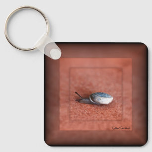 Macro Photograph of Snail on Terracotta  Key Ring